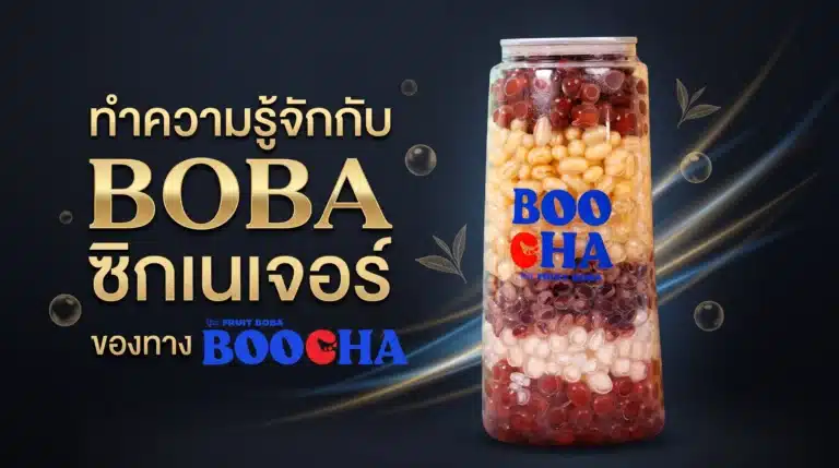 ทำความรู้จักกับ BOBA